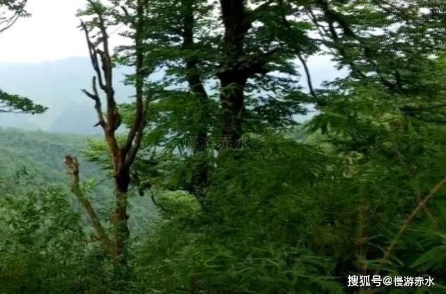 66岁洪金宝手术后复工拍戏，应太太高丽虹要求节食减肥！